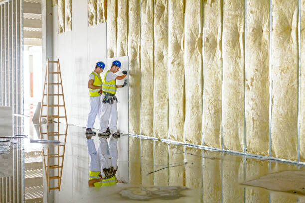 Best Commercial Insulation in Providence, UT